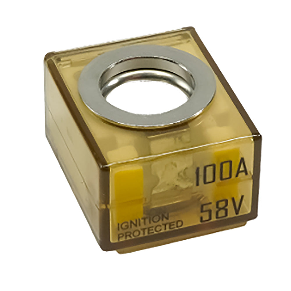 Egis MRBF Terminal Fuse - 100 Amp