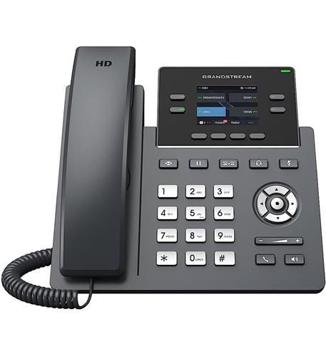 Carrier-Grade IP POE with 2 SIP Accounts