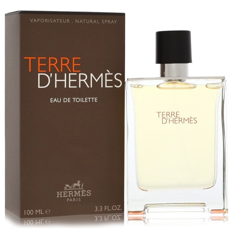 Terre D'Hermes by Hermes Eau De Parfum Spray 5.8 oz (Men)