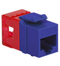 MODULE, CAT 6, HD, PURPLE