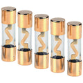 Audiopipe AGU 100 Amp Fuse (5 pack)