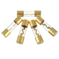 Xscorpion AGU 100 Amp Fuse – Gold Plated Ends (5 pack)