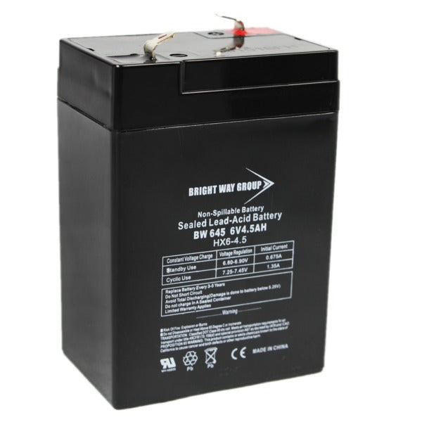 BRIGHT WAY GROUP(R) 6V 4.5A SLD LD ACD BAT