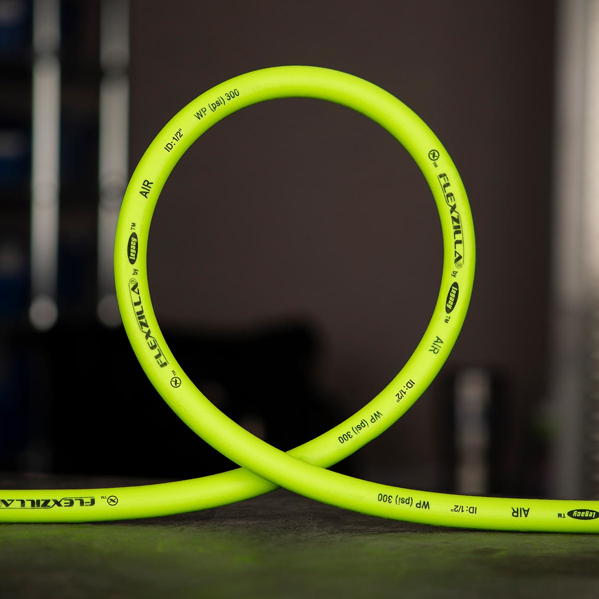 Flexzilla® Whip Hose with Swivel 1/2" x 4'