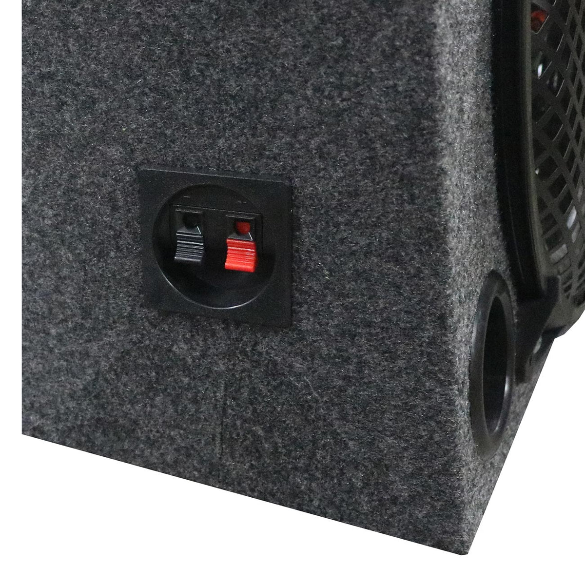 XXX Audio Dual 8" Subwoofer Enclosure 250W Max