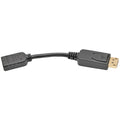 TRIPP LITE(R) BY EATON(R) DSPLYPRT/HDMI ADPTR 1080P