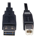 TRIPP LITE(R) BY EATON(R) RVRSBL USB 1 ML-B ML 6FT