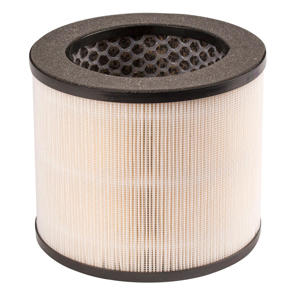 BLACK+DECKER(TM) BAPT01&BAPT02 RPLC FILTR